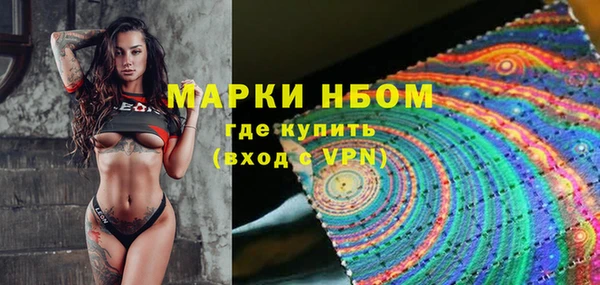 крисы Алзамай
