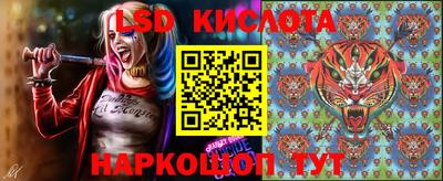 тгк Гусев