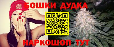 тгк Гусев