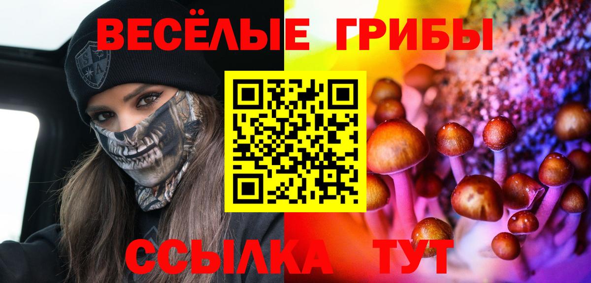 Галлюциногенные грибы Cubensis Нефтеюганск